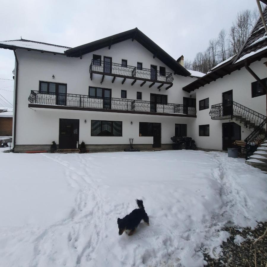 Casa Dana Olteanu Hotel Moeciu De Sus Bagian luar foto