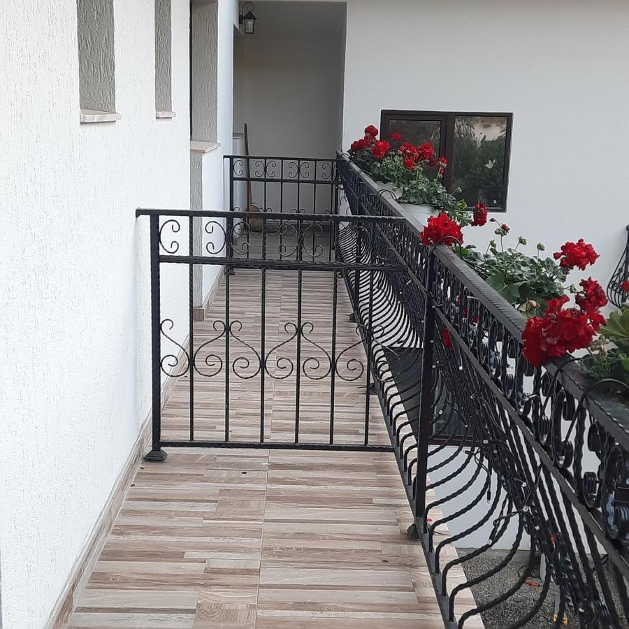 Casa Dana Olteanu Hotel Moeciu De Sus Bagian luar foto