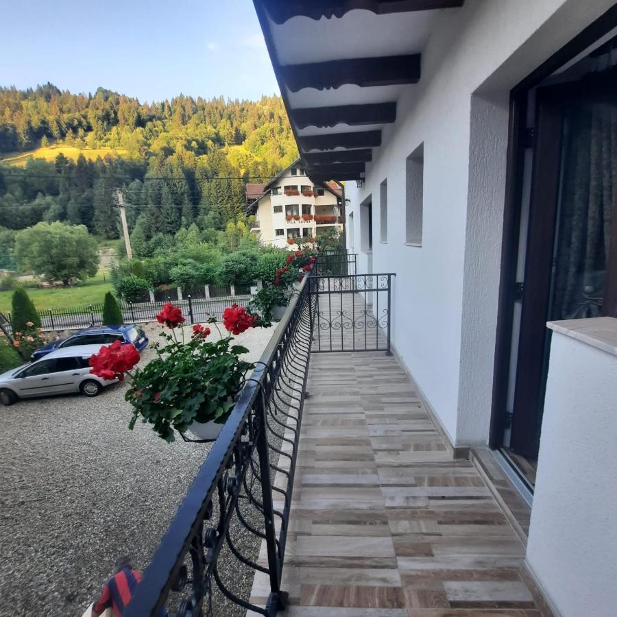 Casa Dana Olteanu Hotel Moeciu De Sus Bagian luar foto