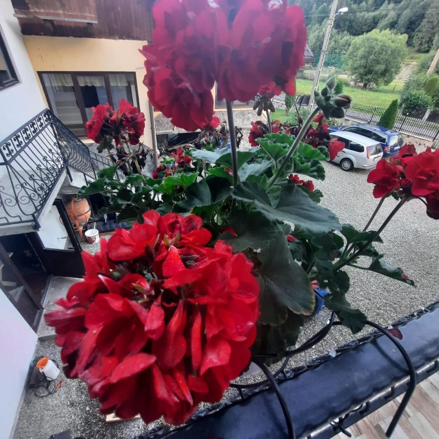 Casa Dana Olteanu Hotel Moeciu De Sus Bagian luar foto