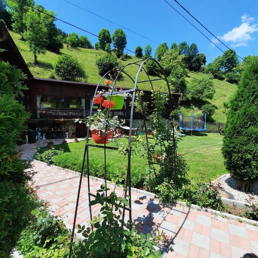 Casa Dana Olteanu Hotel Moeciu De Sus Bagian luar foto